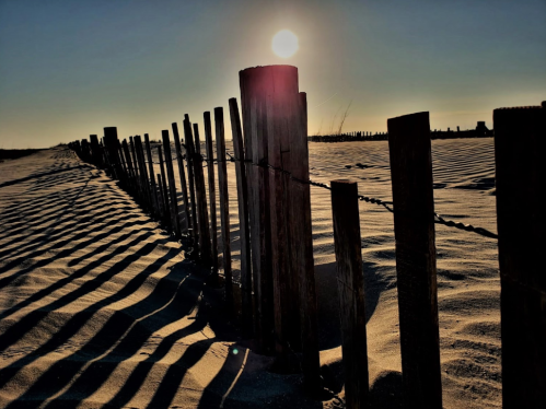 A sun sets behind wooden posts along a sandy beach, casting long shadows on the ground.