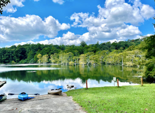 A serene lake surrounded by lush greenery and trees, with fluffy clouds reflecting on the water's surface.