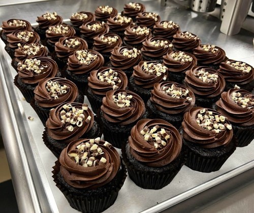 A tray of chocolate cupcakes with swirled chocolate frosting and sprinkled with chocolate shavings.