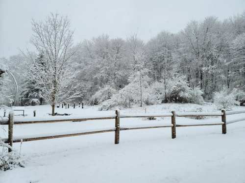 A snowy landscape with a wooden fence, trees covered in snow, and a serene, white-covered ground.