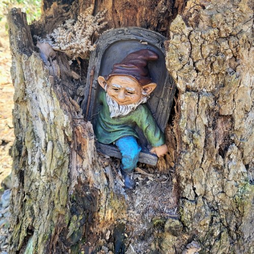 A whimsical gnome figurine sits in a hollowed tree trunk, wearing a green shirt and a pointed hat.