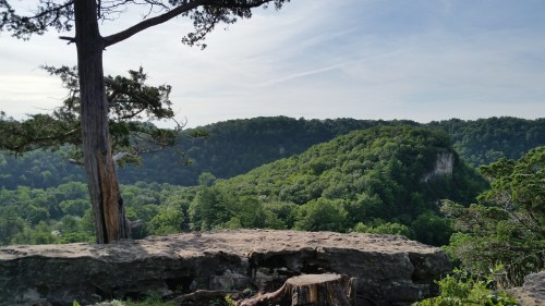 A scenic view of lush green hills and trees under a clear sky, with a rocky ledge in the foreground.