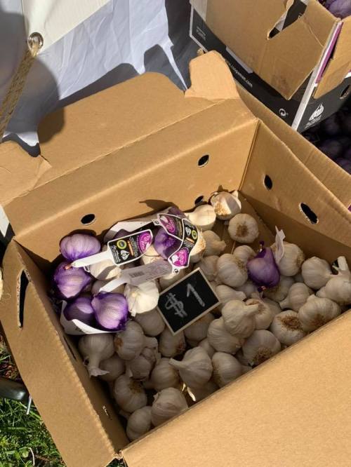 A cardboard box filled with various types of garlic, including white and purple bulbs, at a market.