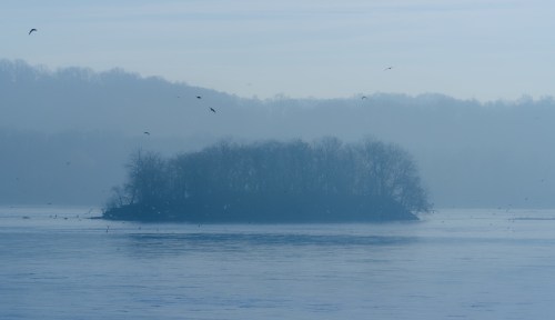 A misty landscape featuring a small island surrounded by calm water and distant trees, with birds flying overhead.