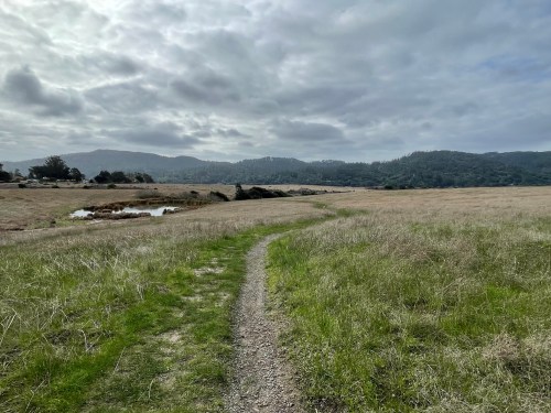 A winding dirt path through a grassy field, with hills and cloudy skies in the background.