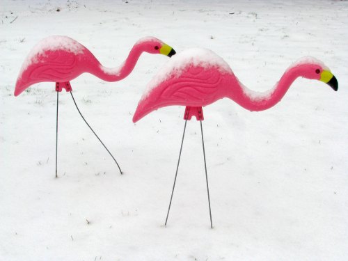Two pink plastic flamingos standing in a snowy landscape, partially covered in snow.