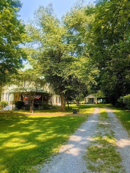 A gravel driveway leads to a charming house surrounded by lush green trees and grass on a sunny day.