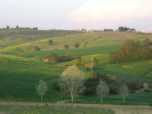 Lush green hills with trees and a winding path under a soft sky, showcasing a serene rural landscape.