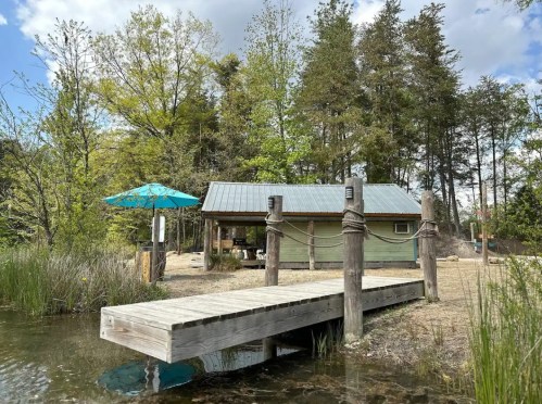 A wooden dock leads to a small green cabin surrounded by trees and a blue umbrella on a sunny day.