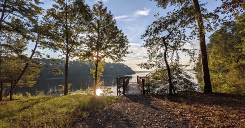 A serene lakeside view with a wooden dock surrounded by trees, reflecting sunlight on the water.
