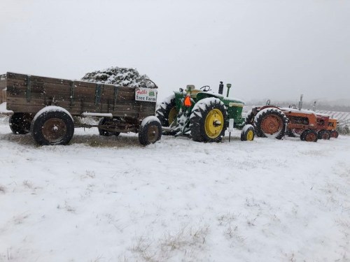 Tractors and a wooden wagon covered in snow at a tree farm during a winter snowfall.