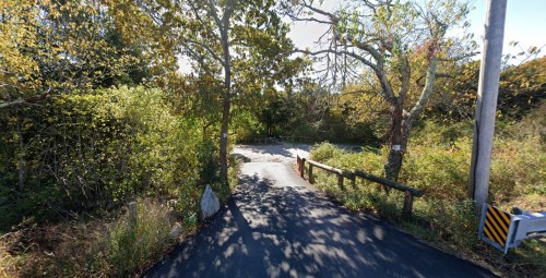 A winding road surrounded by trees and foliage, with a wooden fence and a utility pole in the scene.