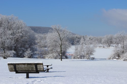 A snowy landscape with benches, trees, and a frozen lake under a clear blue sky.