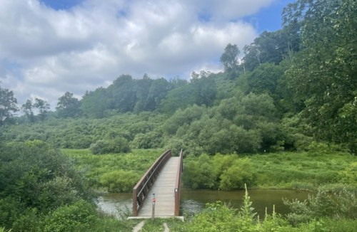 A wooden bridge spans a calm river, surrounded by lush green trees and a cloudy blue sky.