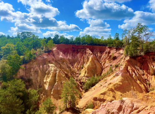 Colorful canyon landscape with steep, layered cliffs and lush green trees under a bright blue sky with fluffy clouds.