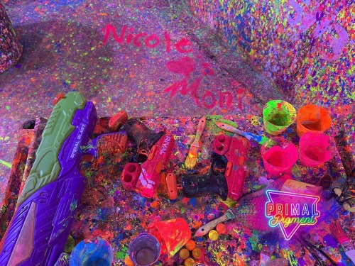 A colorful, splattered surface with paint, toy guns, and cups, featuring the name "Nicole" in pink.