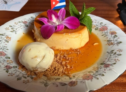 A dessert plate featuring flan topped with a flower and mint, accompanied by ice cream and crumbled cookies.