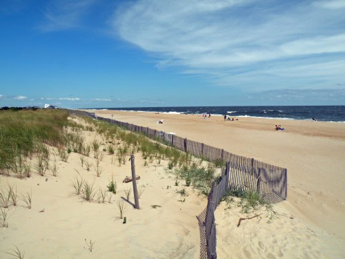 A sandy beach with gentle waves, grassy dunes, and a clear blue sky, featuring a few people enjoying the shoreline.