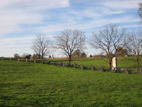 A grassy landscape with bare trees and a wooden fence under a blue sky with scattered clouds.