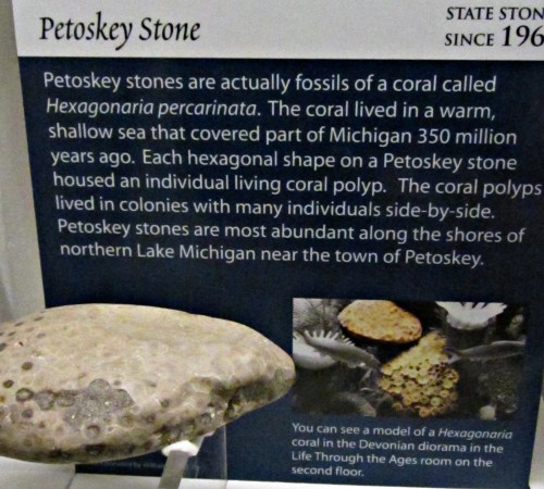 A Petoskey stone fossil with an informational plaque about its origin and significance near Lake Michigan.