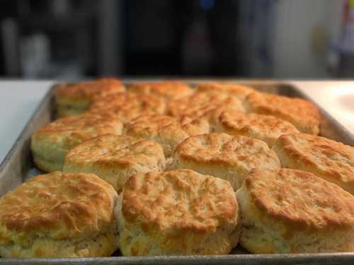 A tray of freshly baked golden biscuits, fluffy and rising, arranged neatly in a kitchen setting.