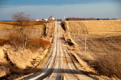 A gravel road stretches through rural fields, lined with trees and power lines under a clear sky.