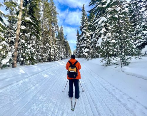 A person in an orange jacket skis down a snowy trail surrounded by tall, snow-covered trees under a blue sky.