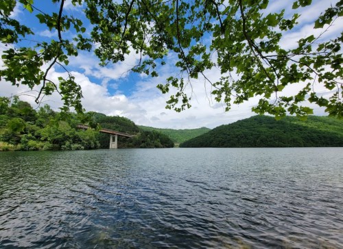 A serene lake surrounded by lush green hills and a partly cloudy sky, framed by tree branches.