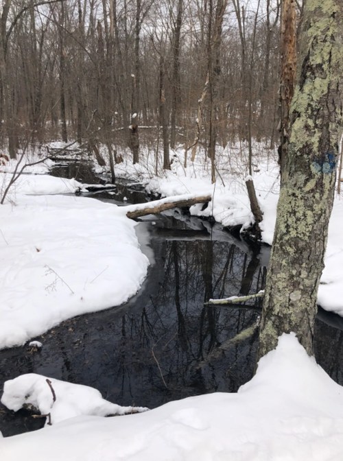 A serene winter scene featuring a dark stream winding through a snowy forest with bare trees.