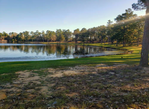 A serene lake surrounded by trees, with sunlight reflecting on the water and a grassy shore in the foreground.