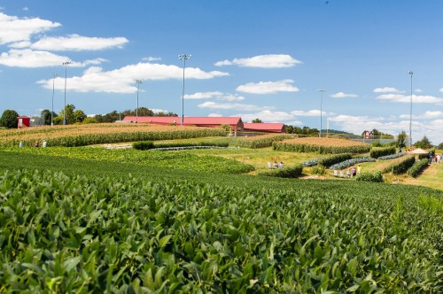 A vibrant farm landscape with green fields, a red barn, and people walking among the crops under a blue sky.