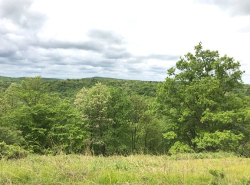 Lush green landscape with trees and rolling hills under a cloudy sky.