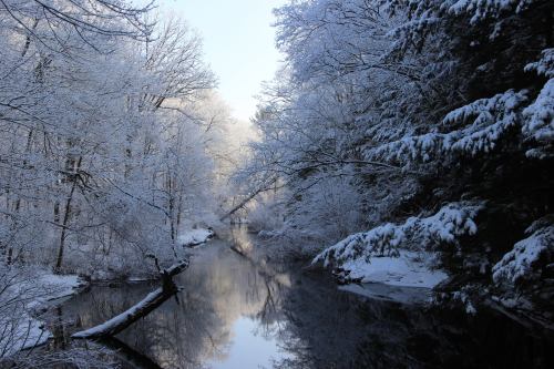 A serene winter scene with a snow-covered river surrounded by frosted trees and a calm, reflective surface.