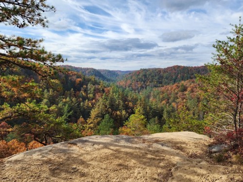 A scenic view of a colorful forest with autumn foliage under a cloudy sky, seen from a rocky overlook.