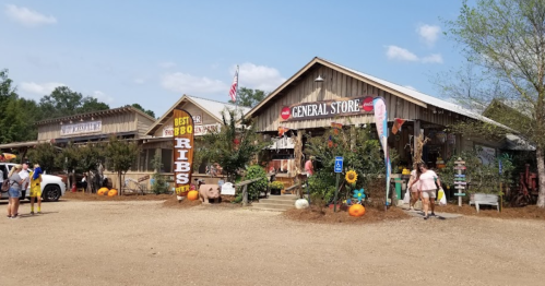 A rustic general store with outdoor decorations, pumpkins, and visitors in a sunny rural setting.