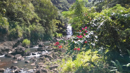 A serene landscape featuring a waterfall surrounded by lush greenery and vibrant flowers along a rocky riverbank.