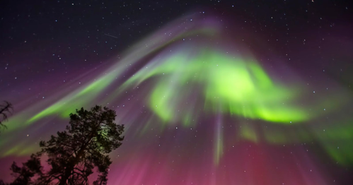 Vibrant aurora borealis lights up the night sky with green and purple hues, framed by silhouetted trees.