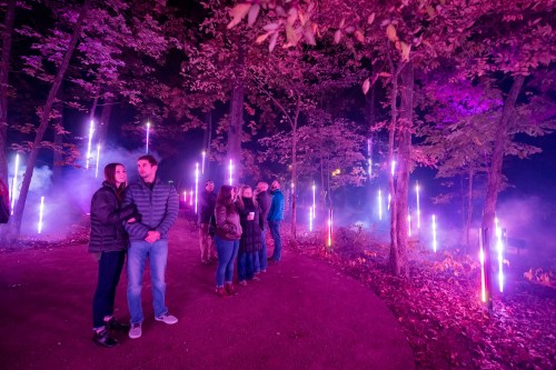 A group of people stands in a forest at night, surrounded by glowing purple light pillars and mist.