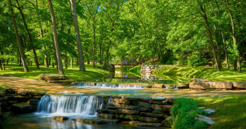 A serene landscape featuring a flowing stream and small waterfalls surrounded by lush green trees and grass.