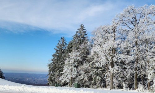 Snow-covered trees glisten under a clear blue sky, with distant mountains visible in the background.