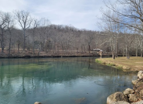A serene river scene with clear water, bare trees, and a grassy bank under a cloudy sky.