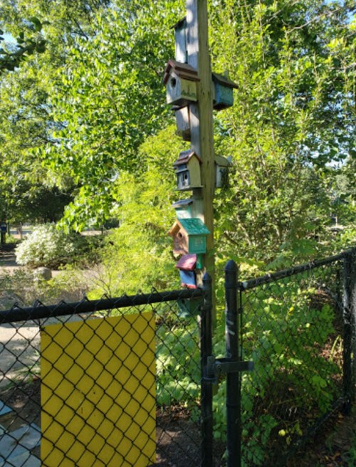 A colorful birdhouse post stands beside a chain-link fence, surrounded by lush greenery and plants.
