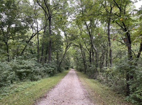 A serene gravel path surrounded by lush green trees and foliage, leading through a peaceful forested area.