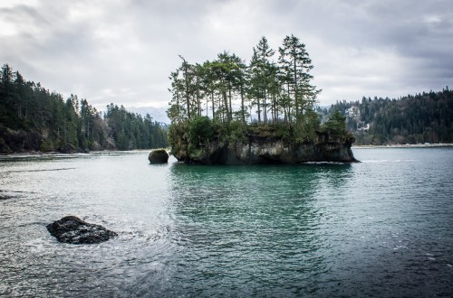 A small island with trees surrounded by calm, turquoise water under a cloudy sky.