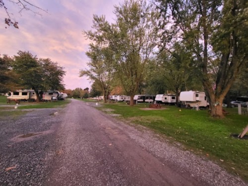 A gravel road lined with RVs and trees, under a colorful sky at dusk.