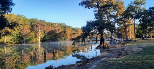 A serene lake scene with mist, surrounded by trees in autumn colors and a wooden pier in the background.
