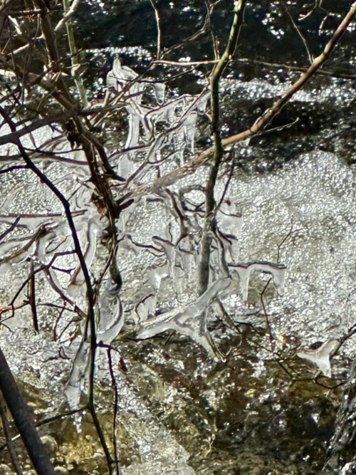 A close-up of shimmering water with ice formations and bare branches reflecting sunlight.
