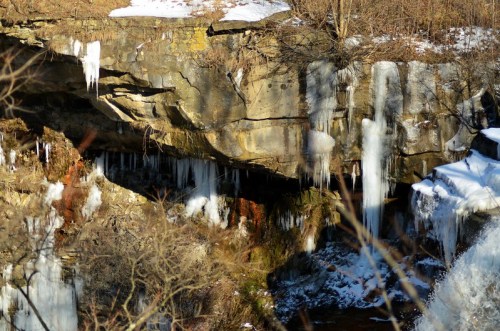 Icicles hang from a rocky cliff, surrounded by snow and bare trees, with a small waterfall visible below.