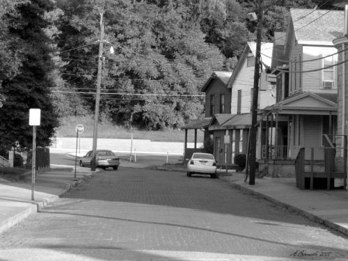 A quiet, tree-lined street with brick pavement and parked cars, featuring two-story houses on either side.
