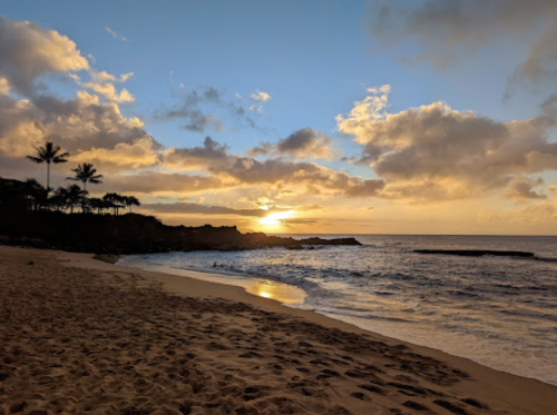 A serene beach at sunset, with golden hues reflecting on the water and palm trees silhouetted against the sky.
